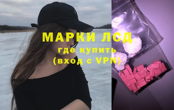 шишки Абинск