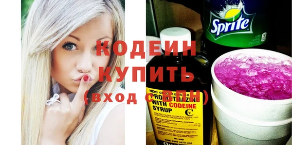 мдпв Осташков